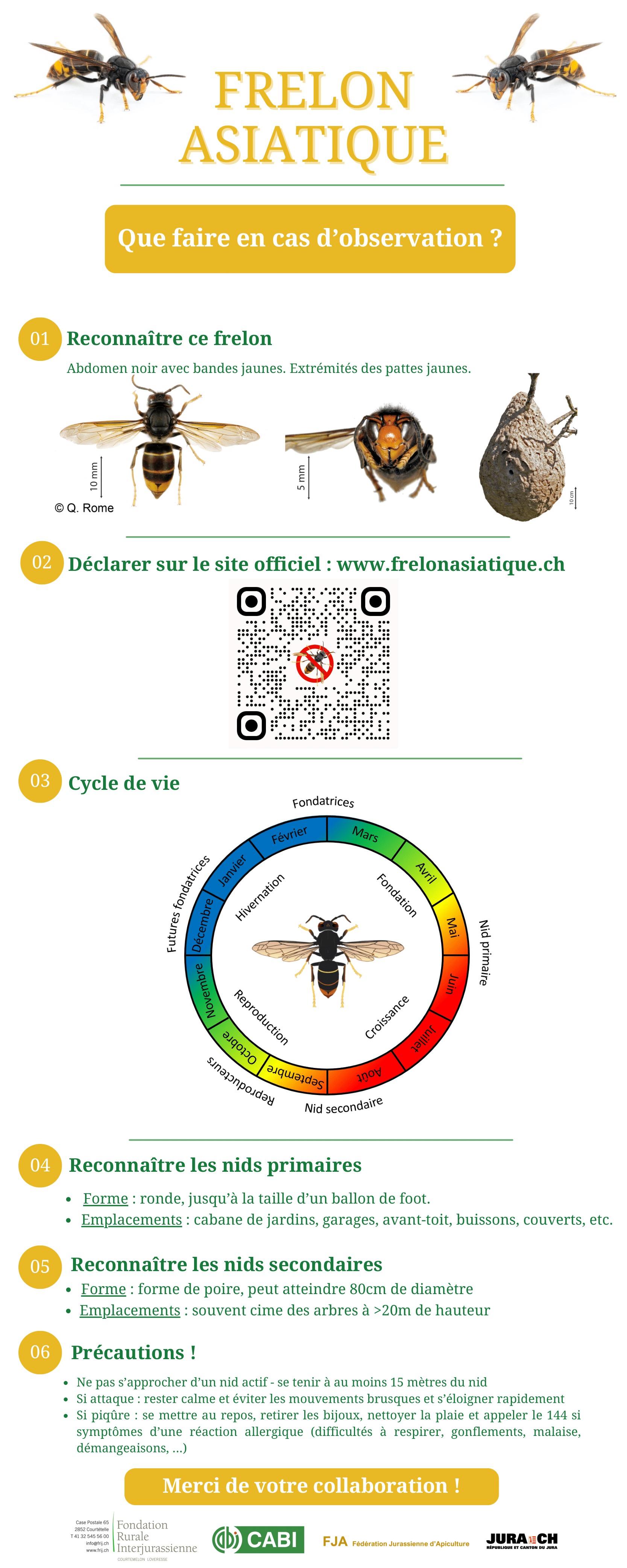 240311 Notice FrelonAsiatique 1