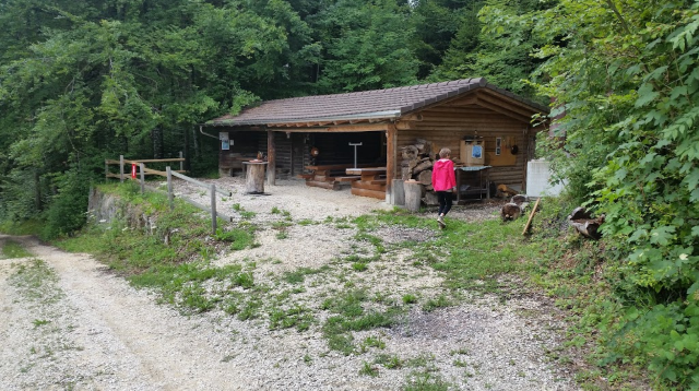 Cabane forestière